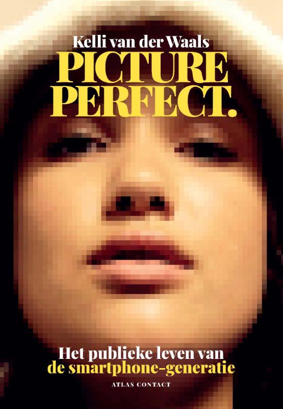Omslag van Picture perfect