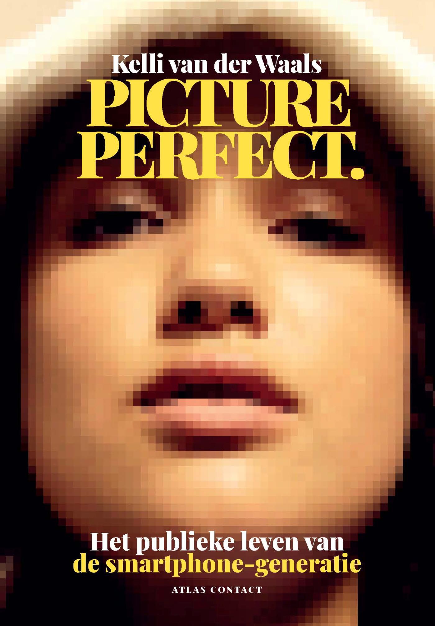 Omslag van Picture perfect