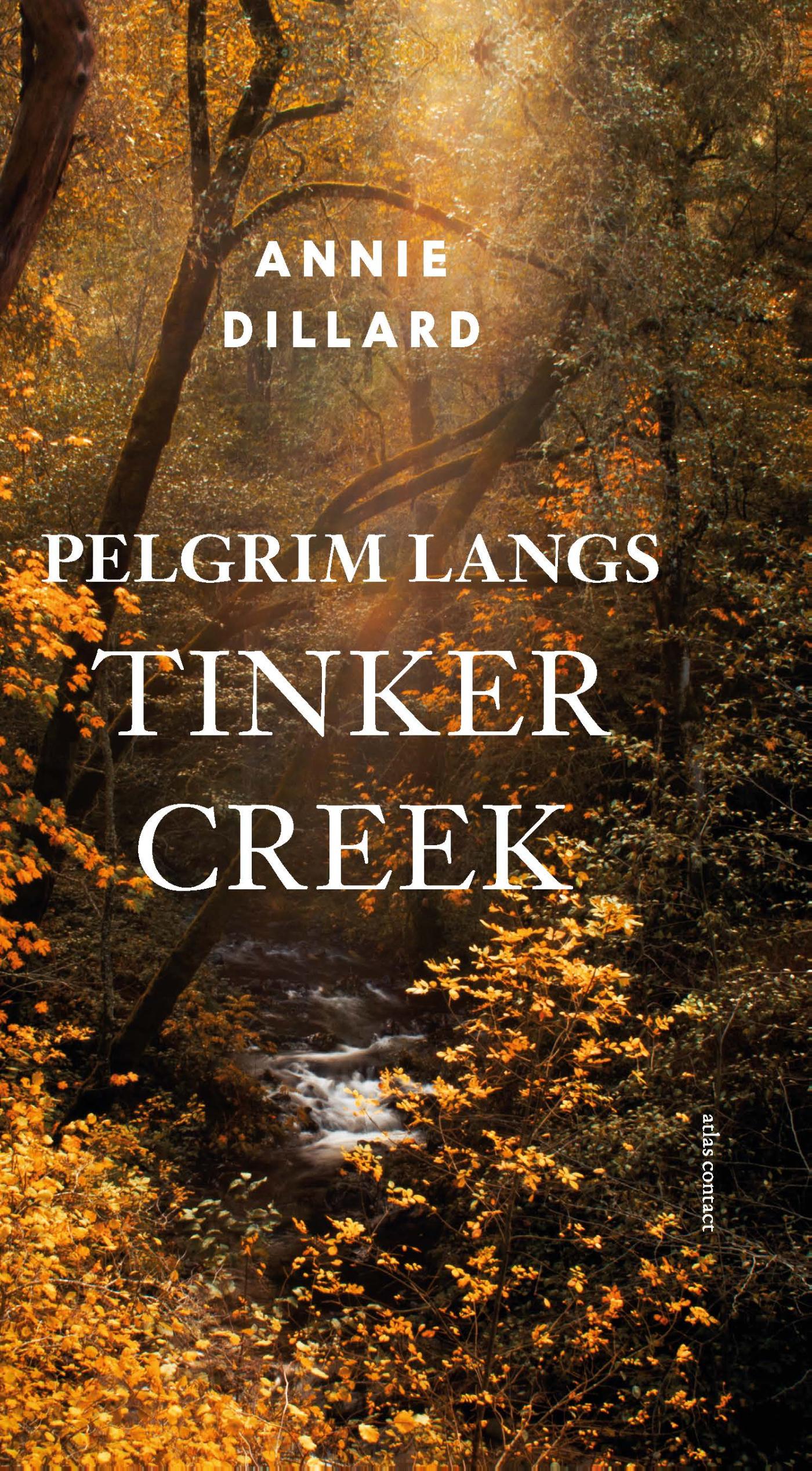 Omslag van Pelgrim langs Tinker Creek