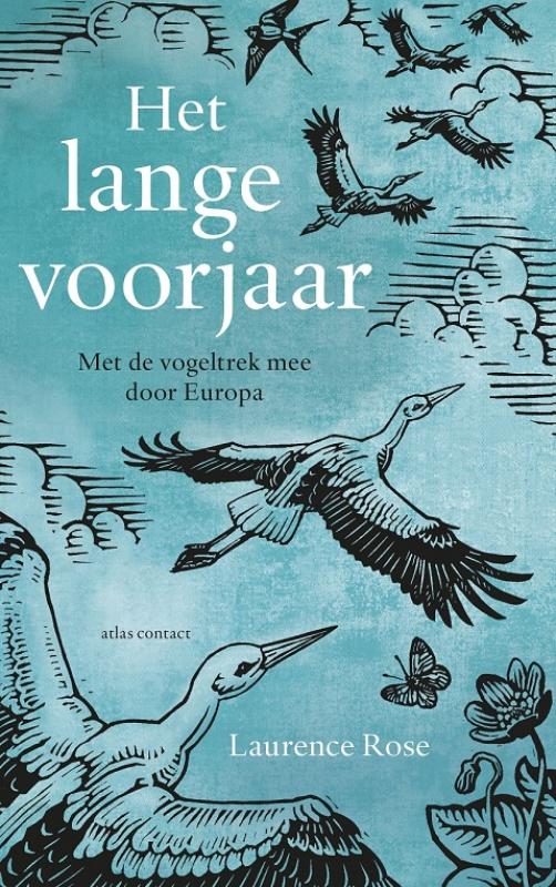 Omslag van Het lange voorjaar