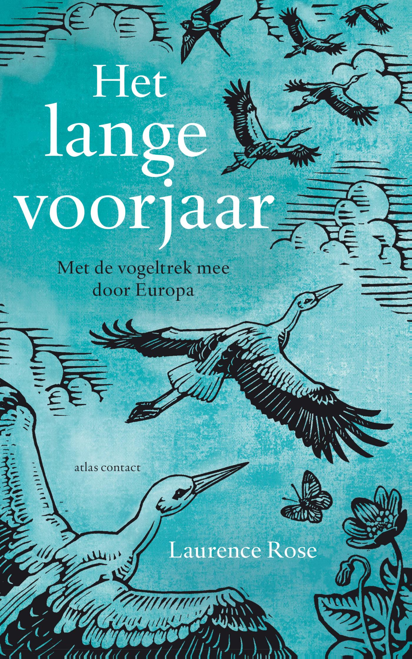 Omslag van Het lange voorjaar