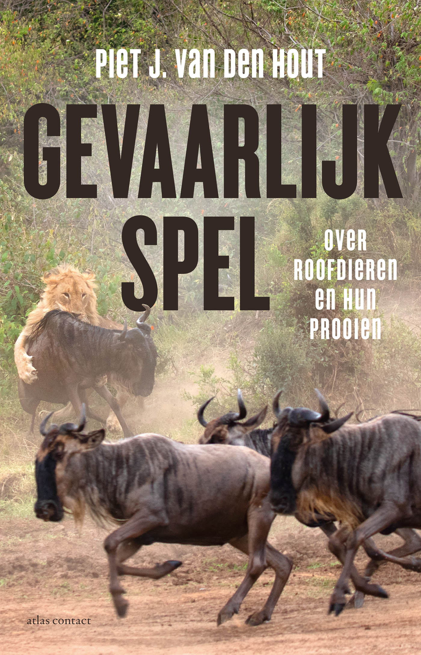Omslag van Gevaarlijk spel