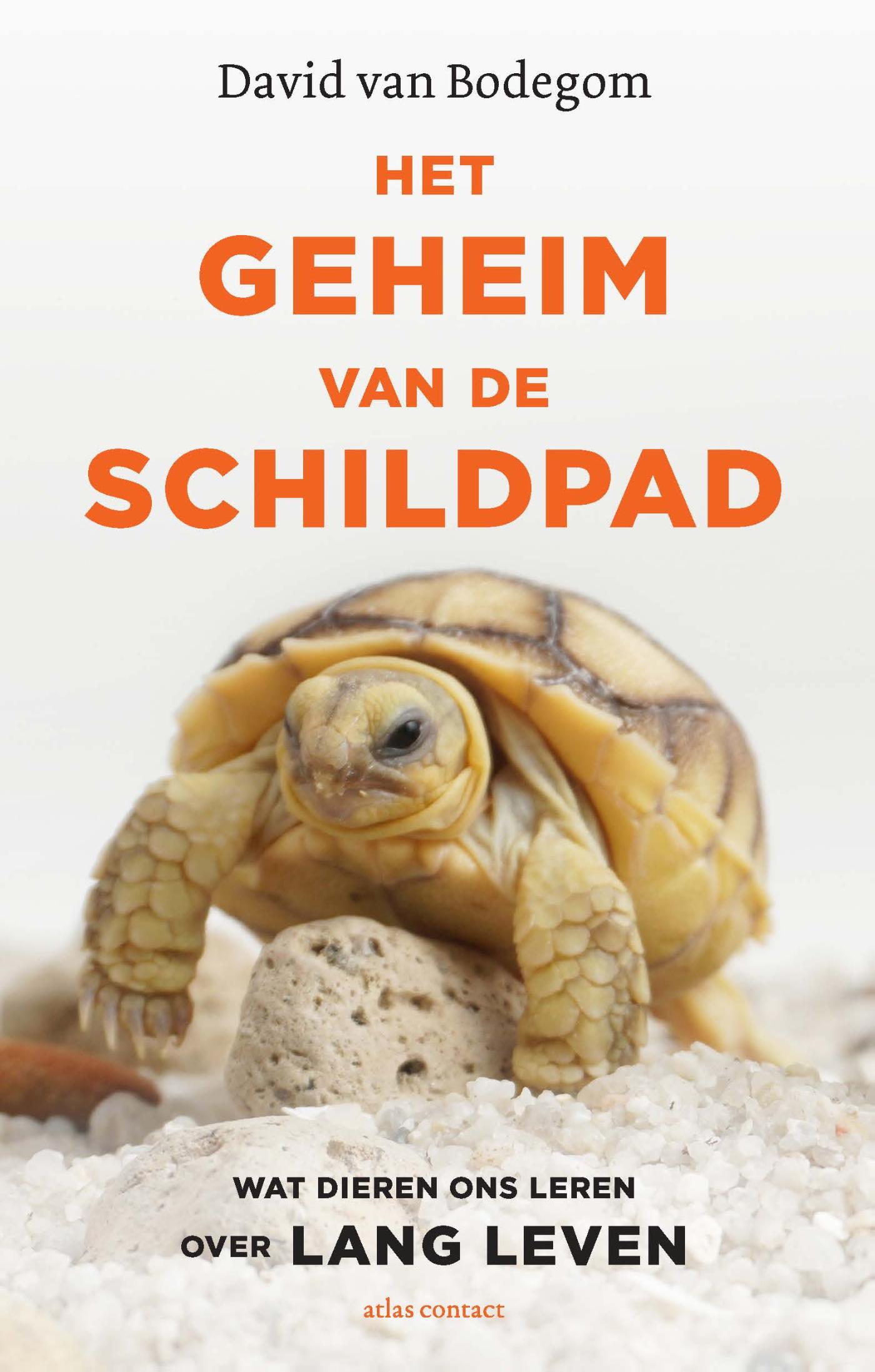 Omslag van Het geheim van de schildpad