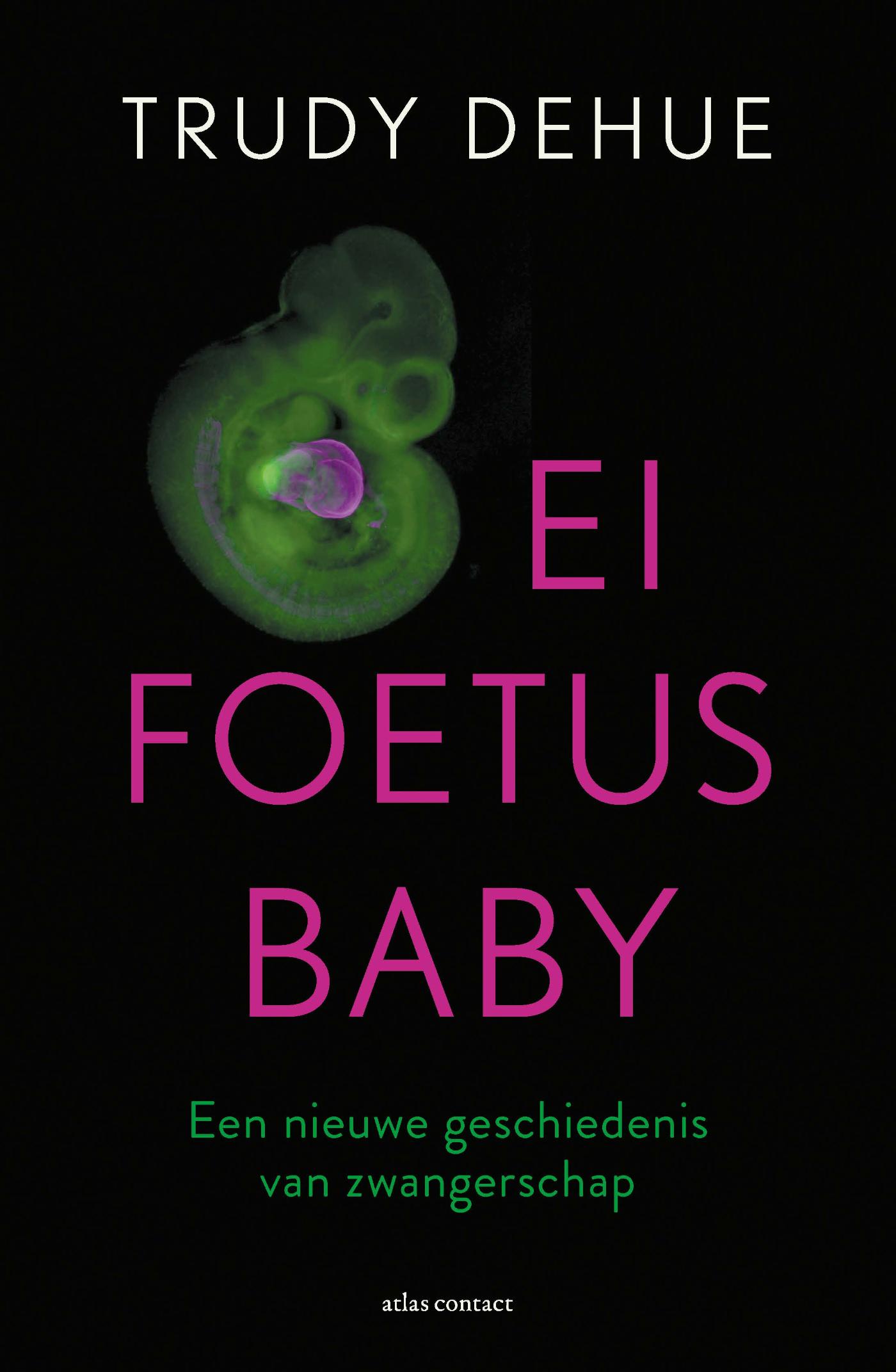 Omslag van Ei, foetus, baby