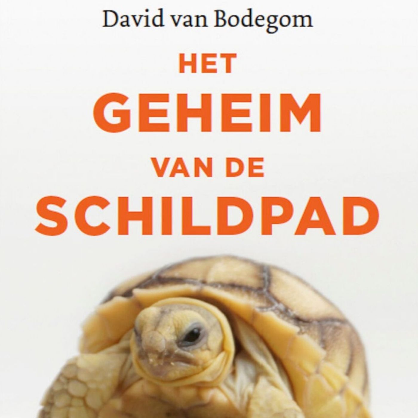 Omslag van Het geheim van de schildpad