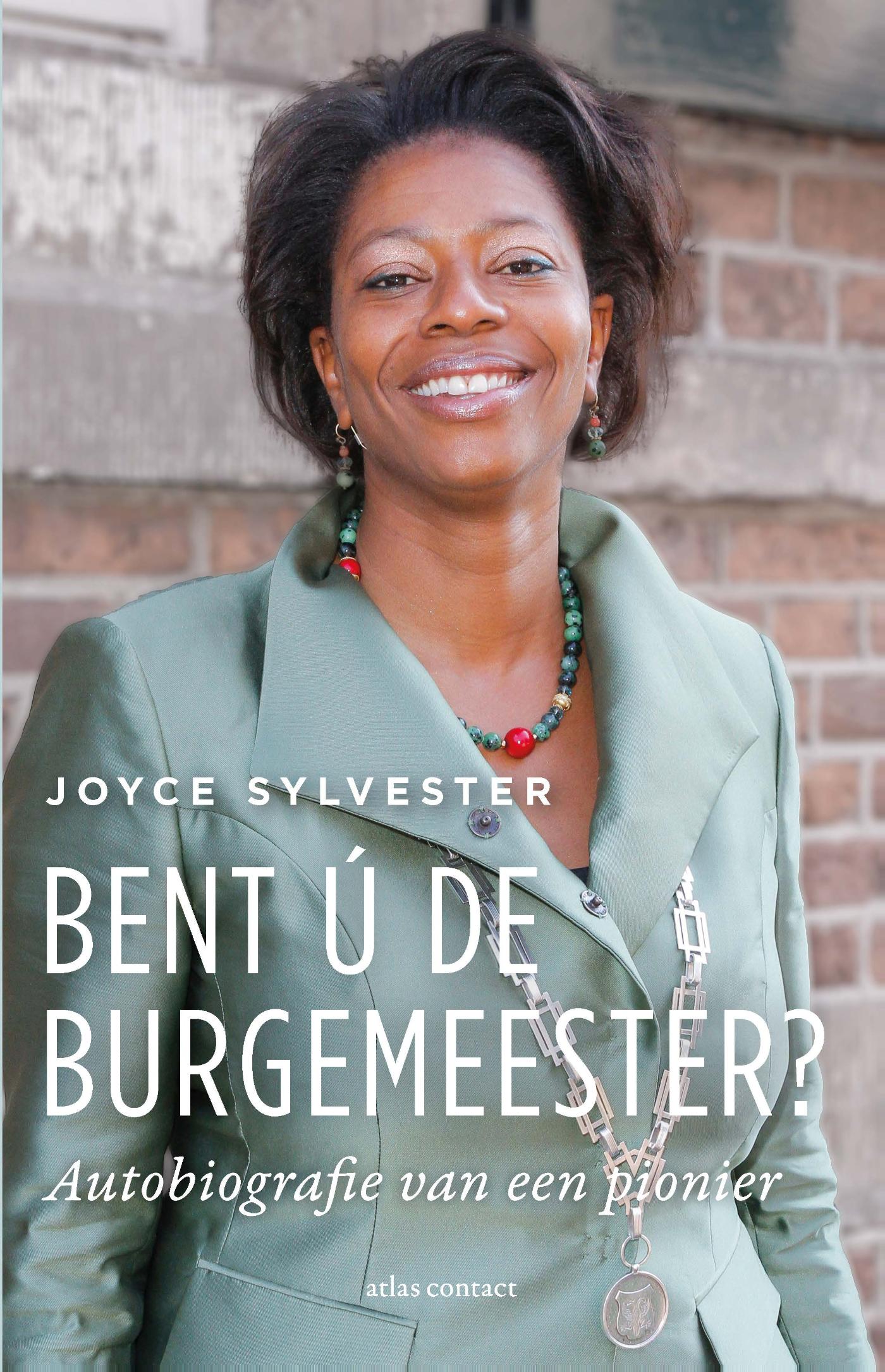 Omslag van Bent ú de burgemeester?