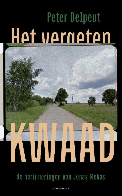 Omslag van Het vergeten kwaad