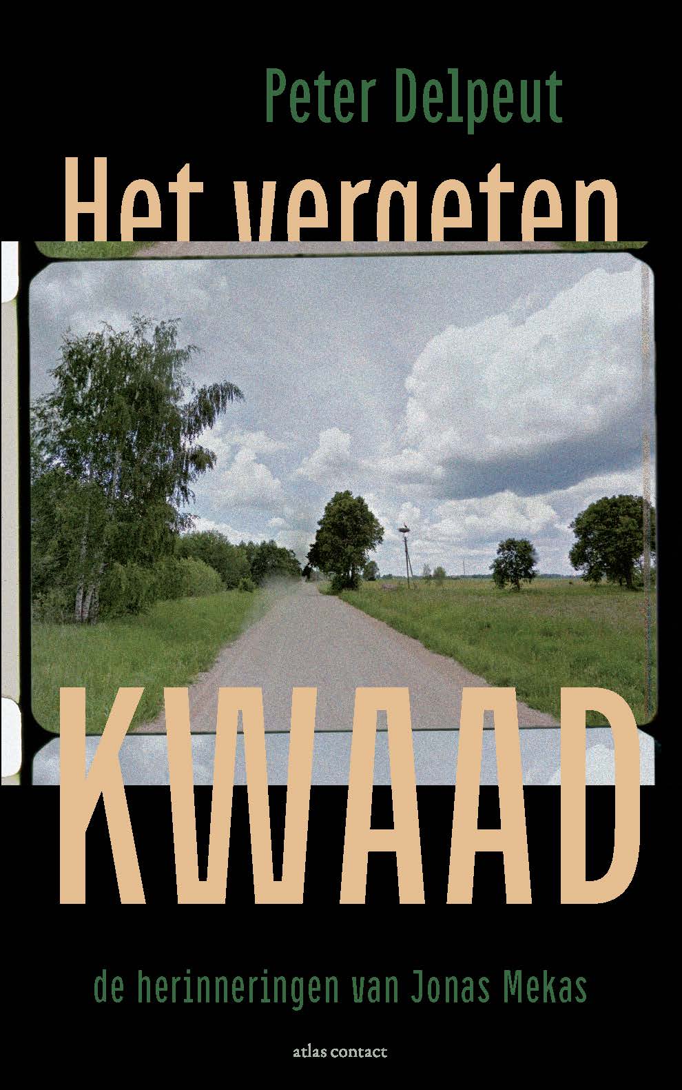 Omslag van Het vergeten kwaad