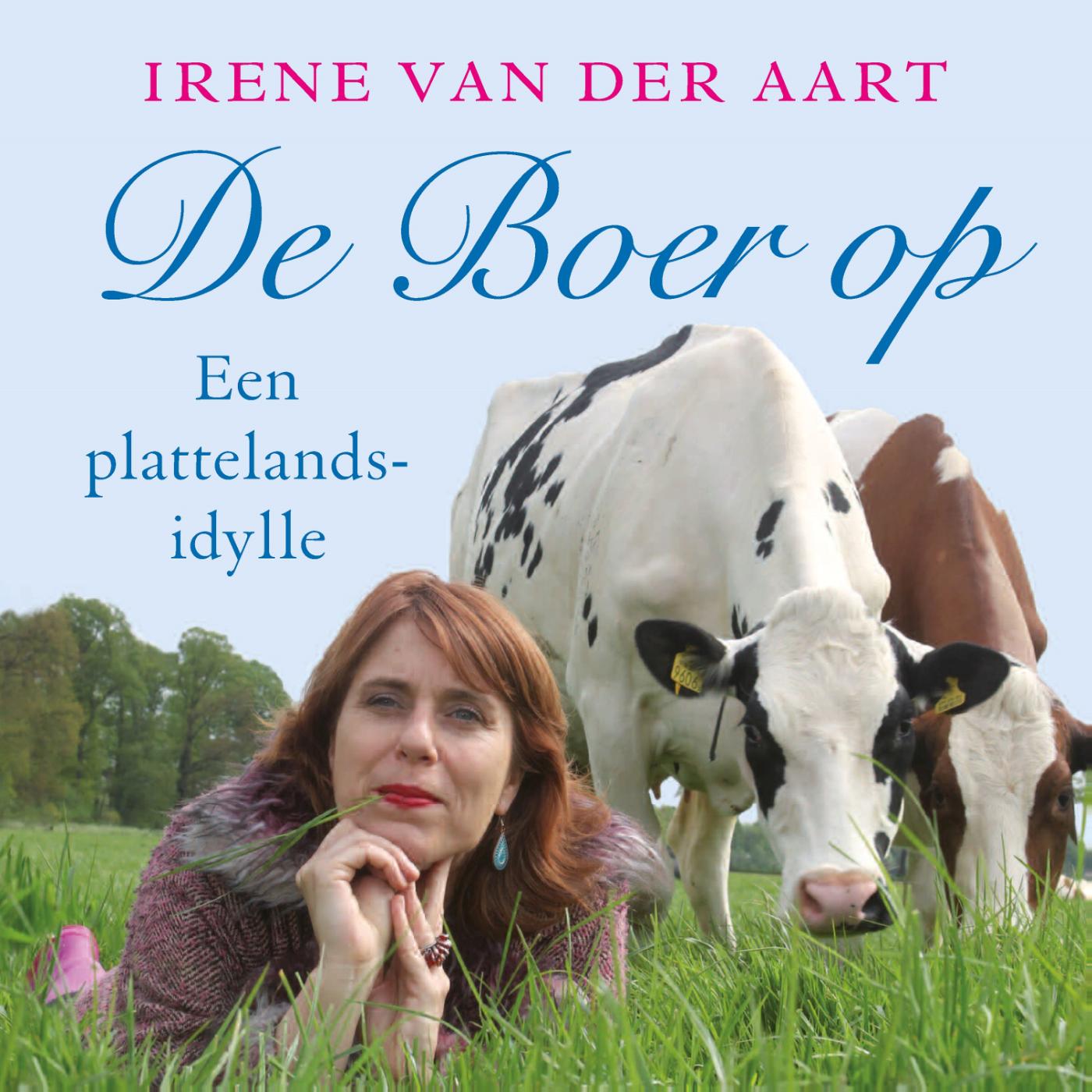 Omslag van De Boer op