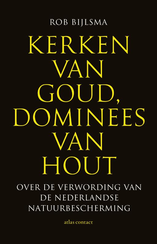 Omslag van Kerken van goud, dominees van hout