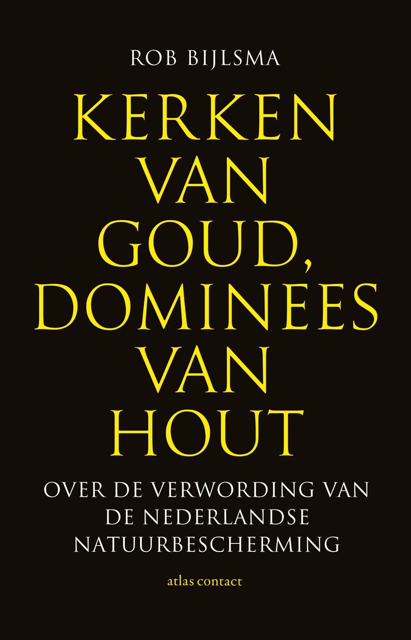 Omslag van Kerken van goud, dominees van hout
