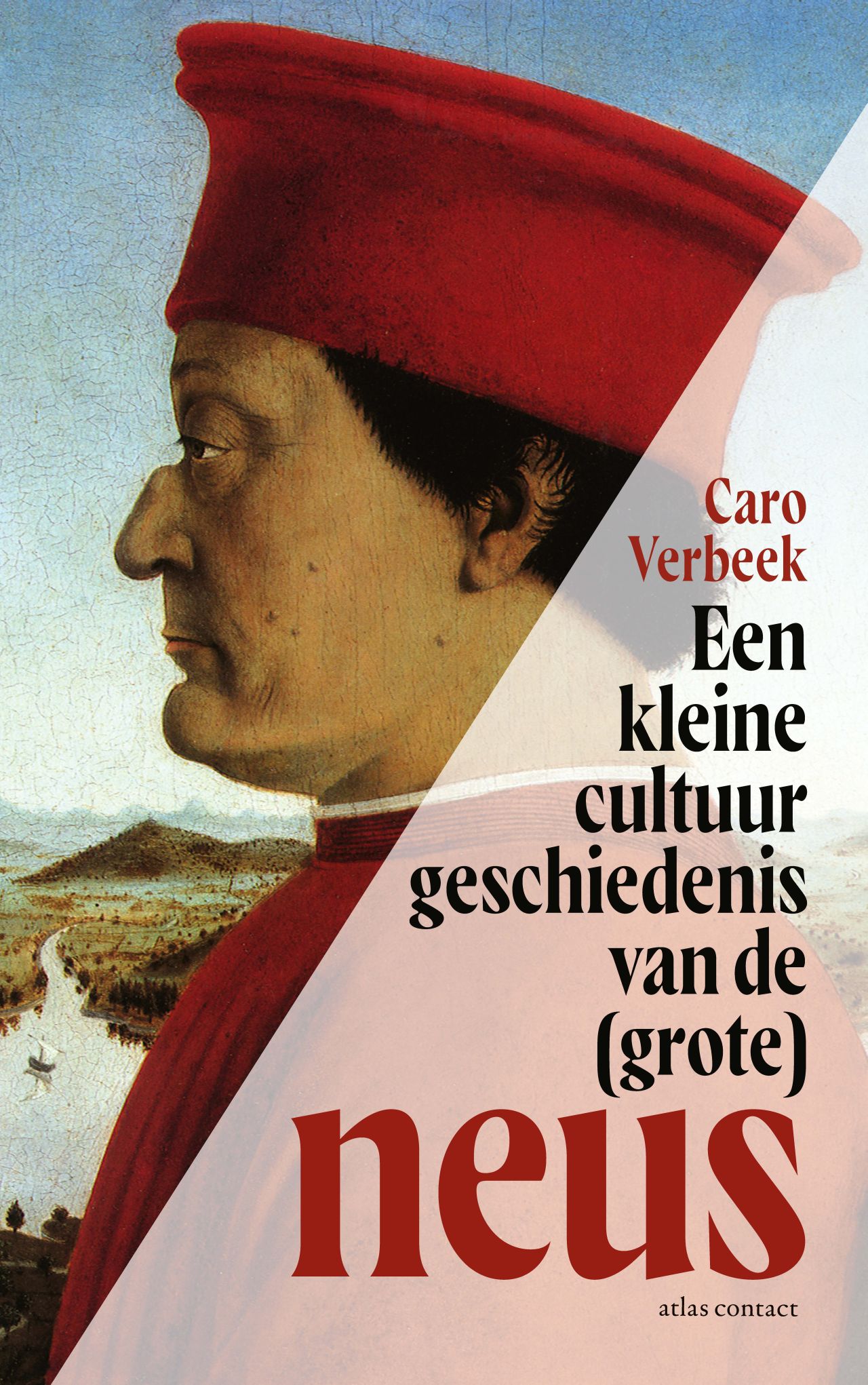 Omslag van Een kleine cultuurgeschiedenis van de (grote) neus