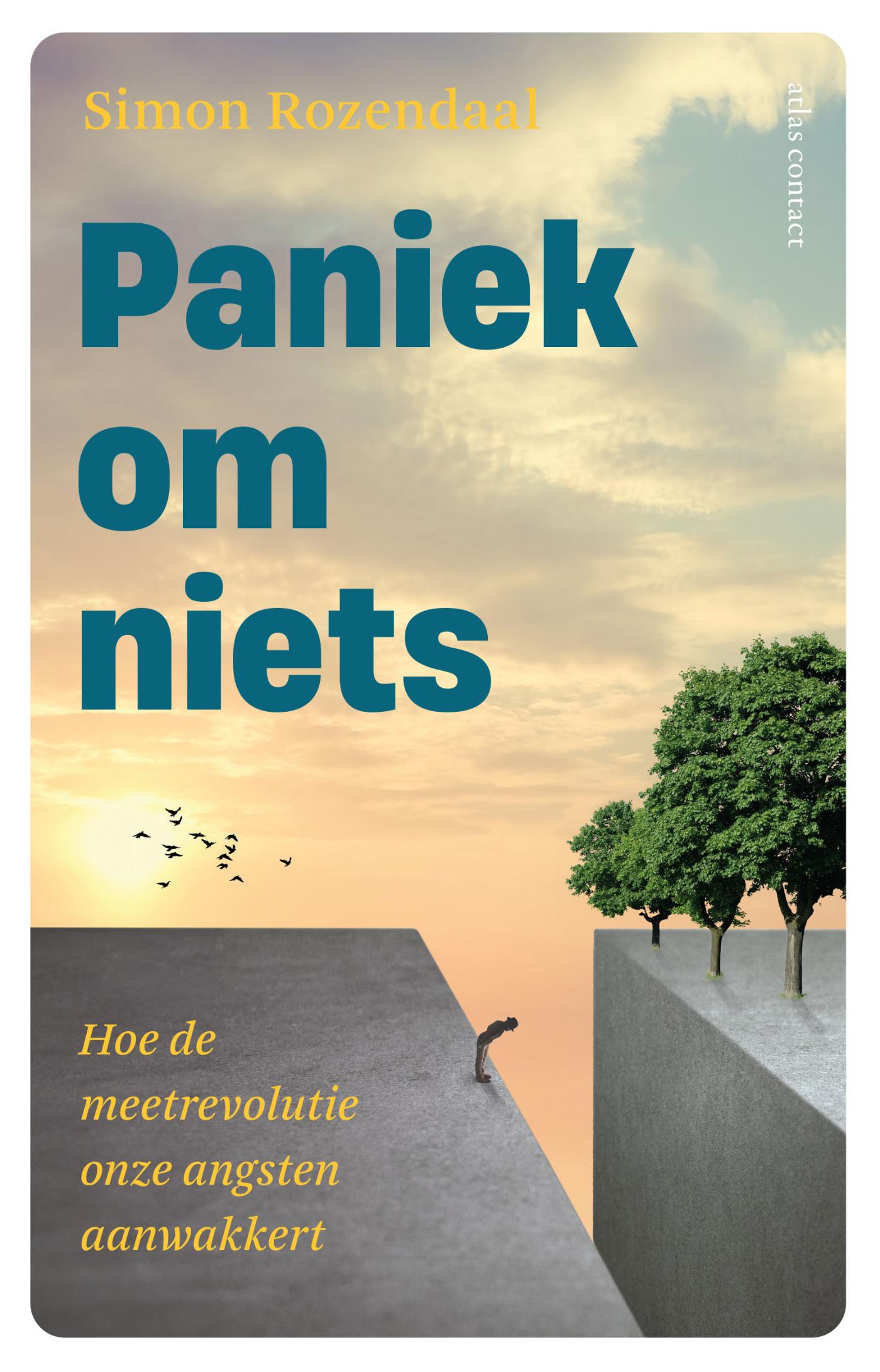 Omslag van Paniek om niets