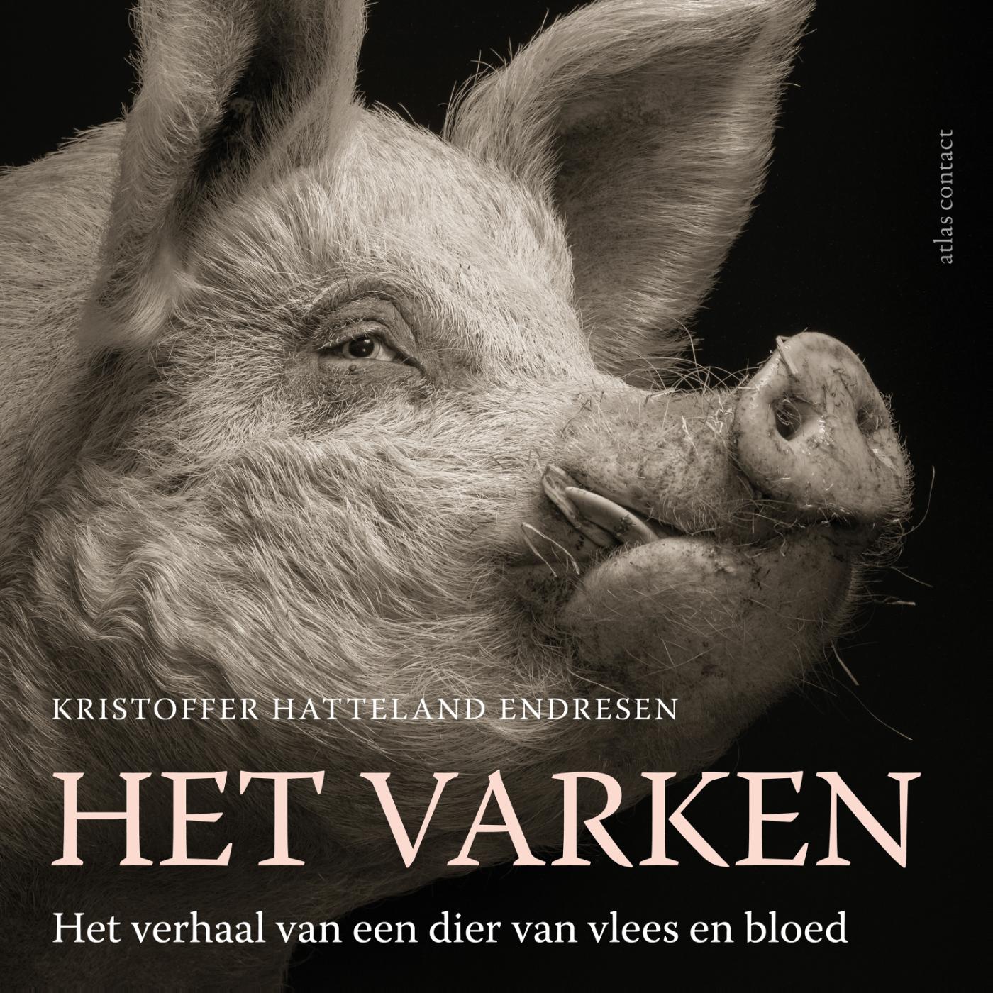 Omslag van Het varken