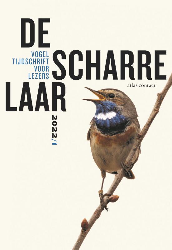 Omslag van De scharrelaar - 2022/1