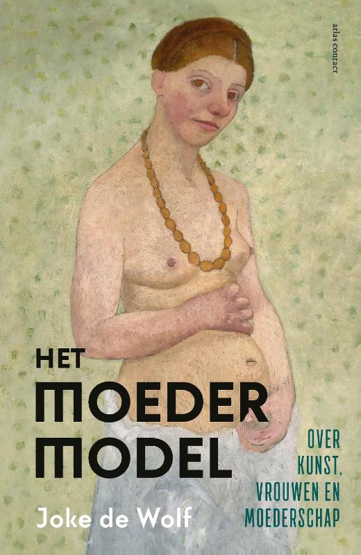 Omslag van Het moedermodel