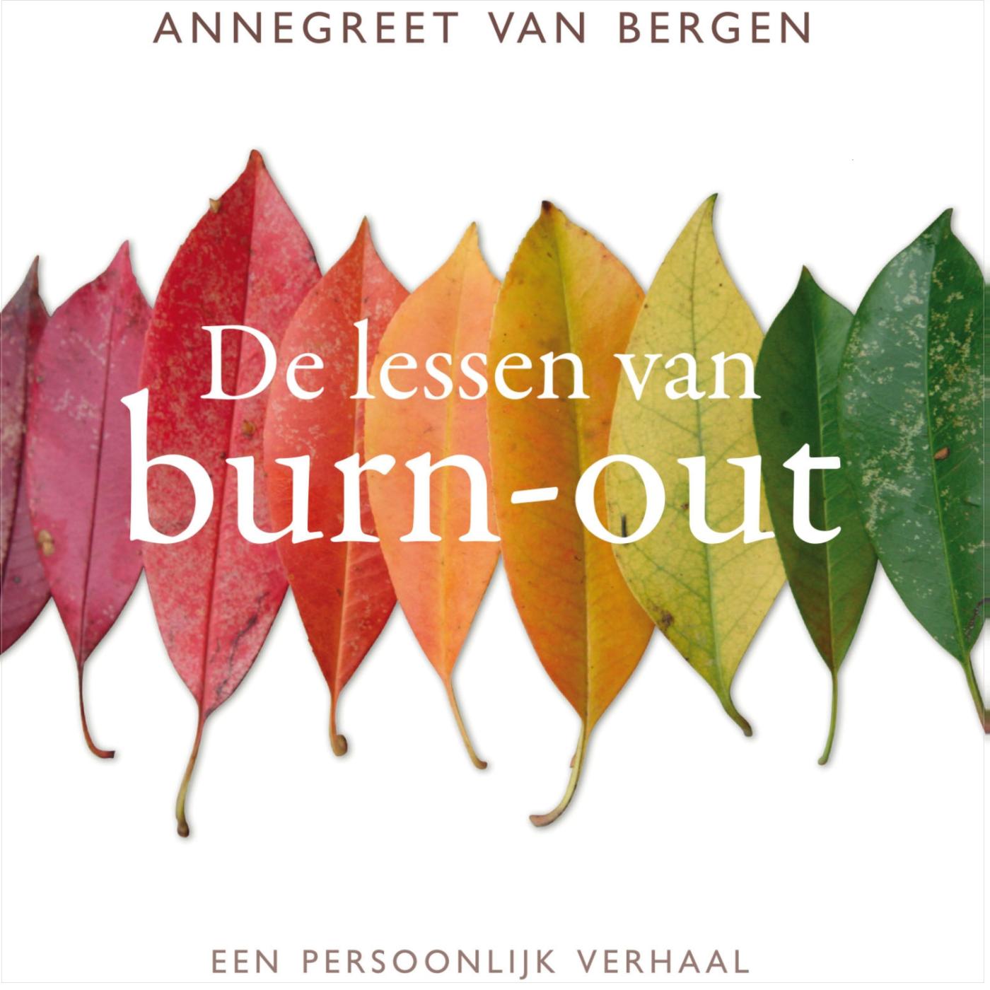 Omslag van De lessen van Burn-out
