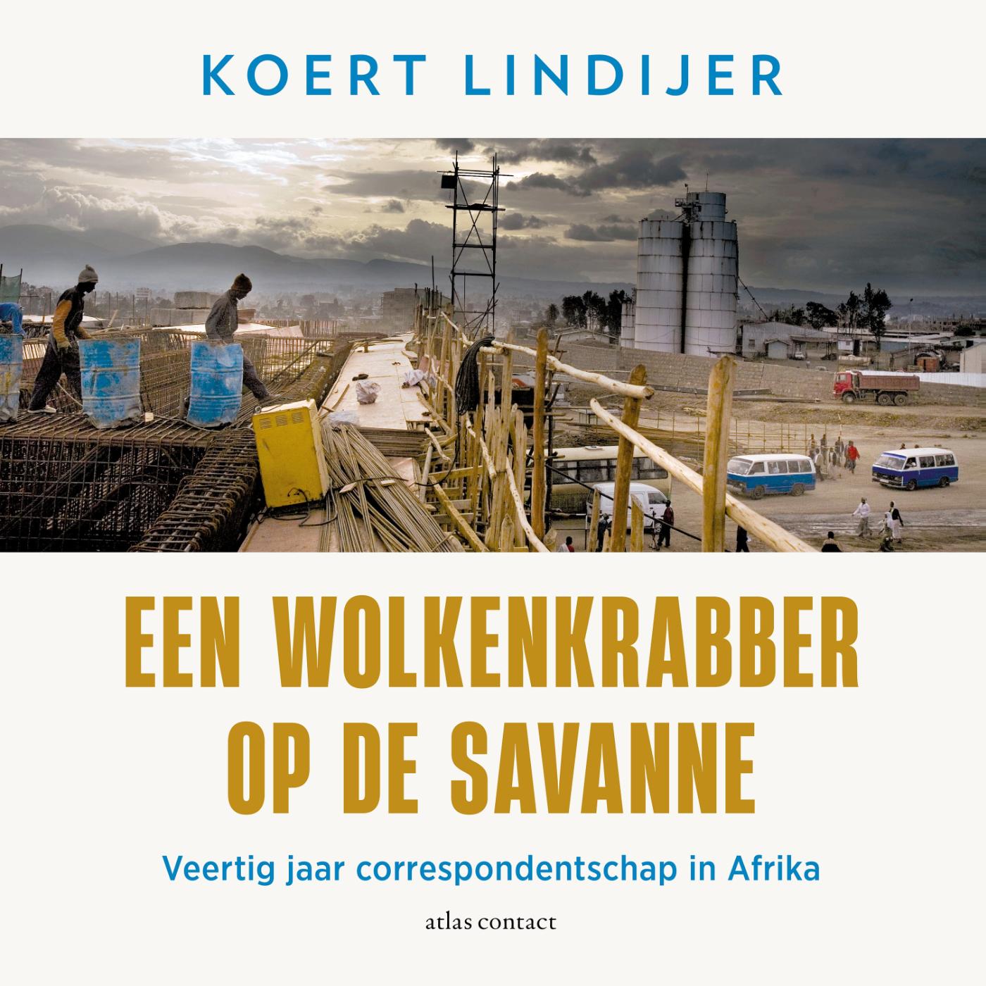 Omslag van Een wolkenkrabber op de savanne