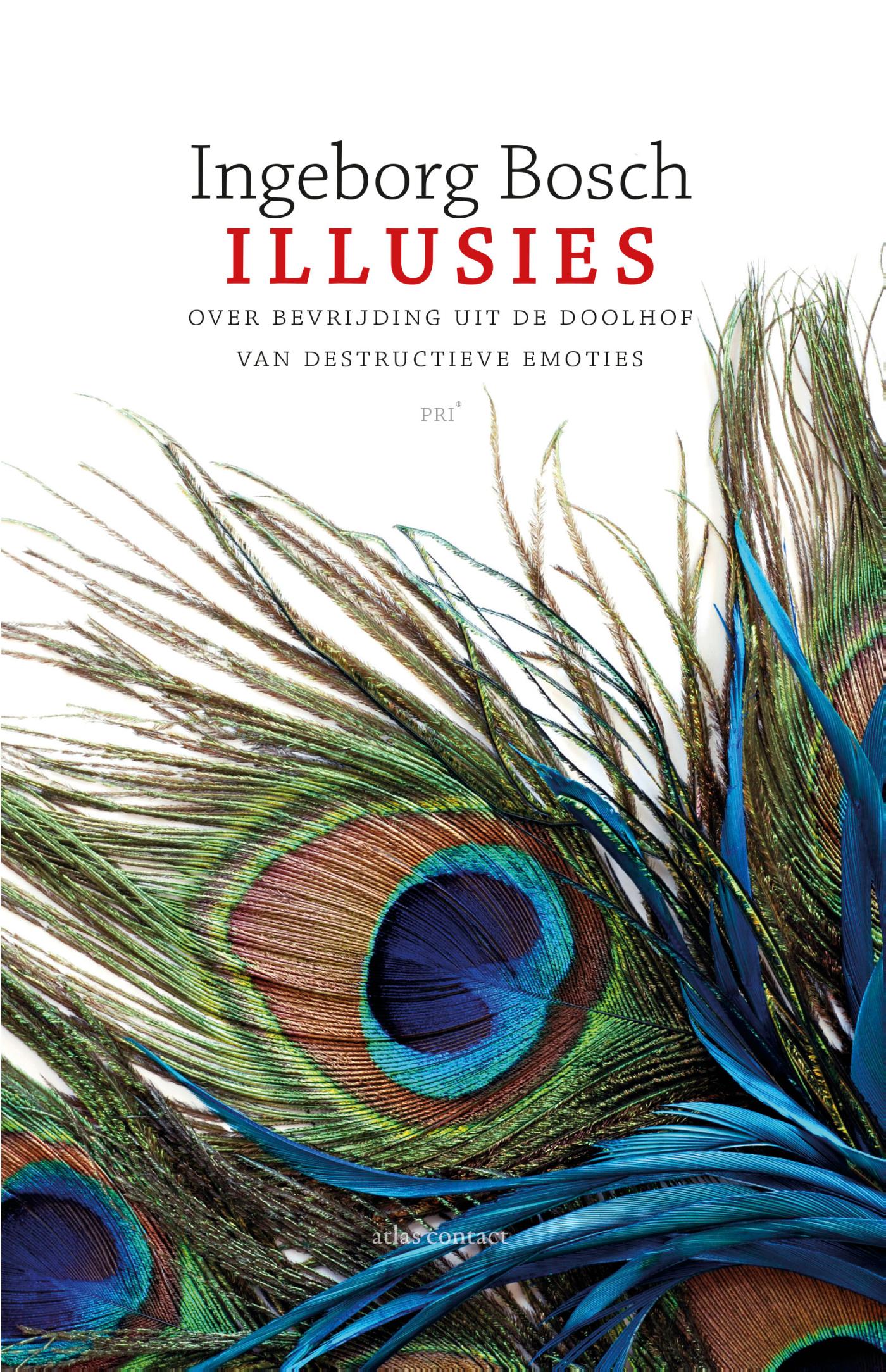 Omslag van Illusies