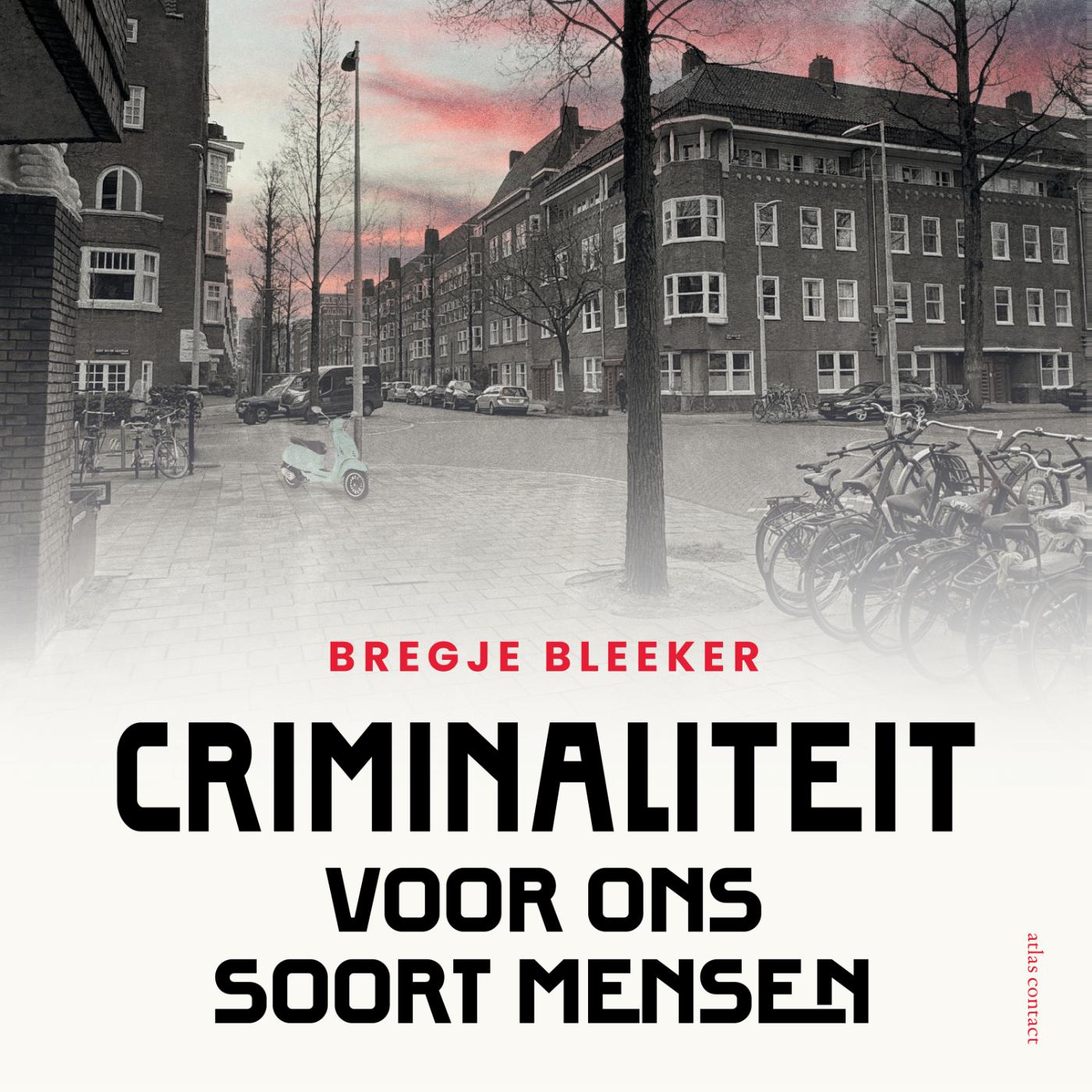 Omslag van Criminaliteit voor ons soort mensen