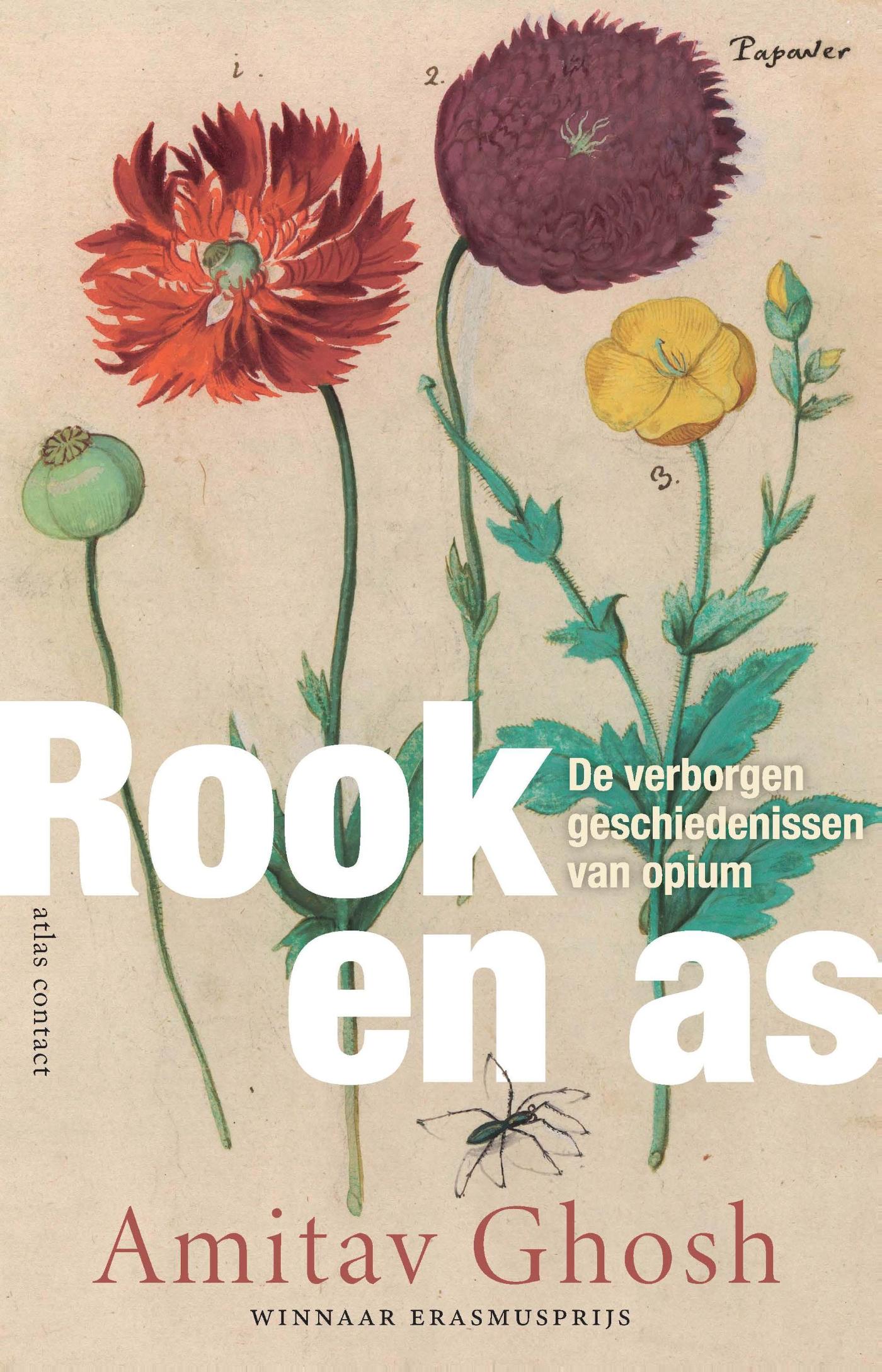 Omslag van Rook en as