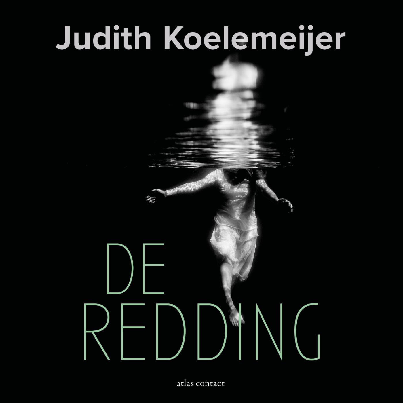 Omslag van De redding