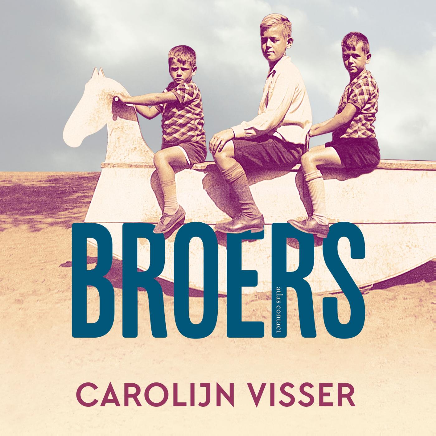 Omslag van Broers