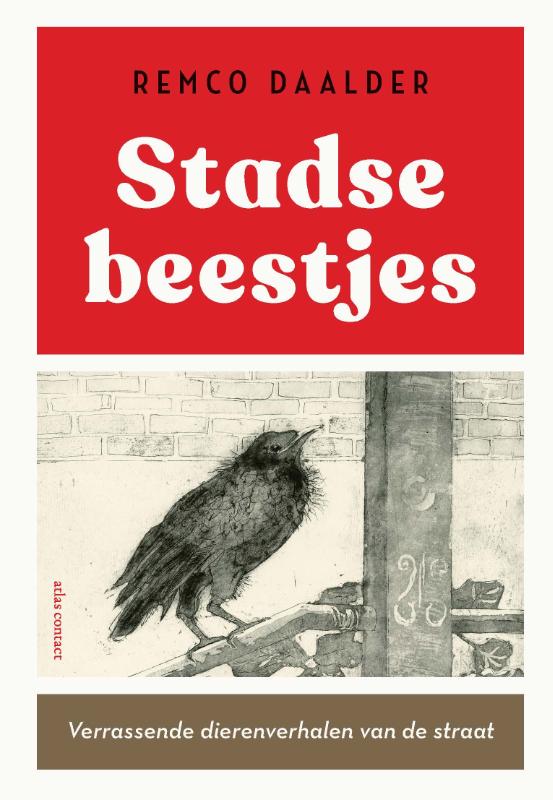 Omslag van Stadse beestjes