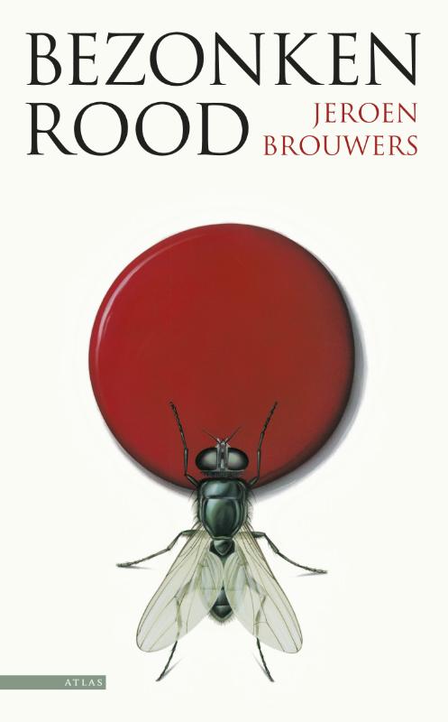 Omslag van Bezonken rood