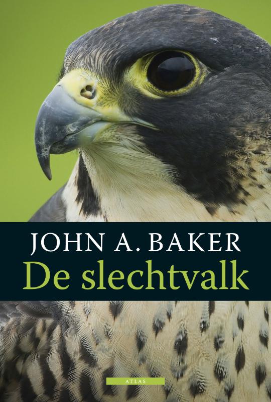 Omslag van De slechtvalk