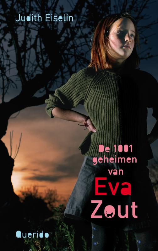 Omslag van De 1001 geheimen van Eva Zout