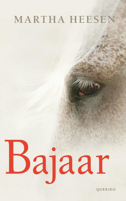 Omslag van Bajaar