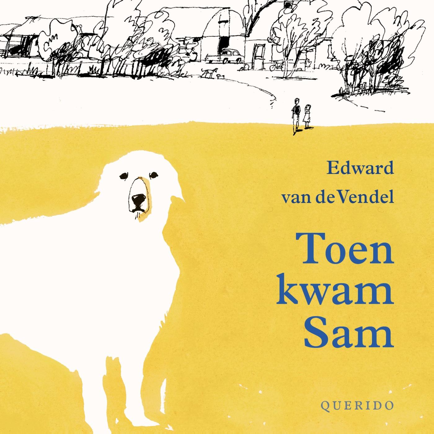 Omslag van Toen kwam Sam