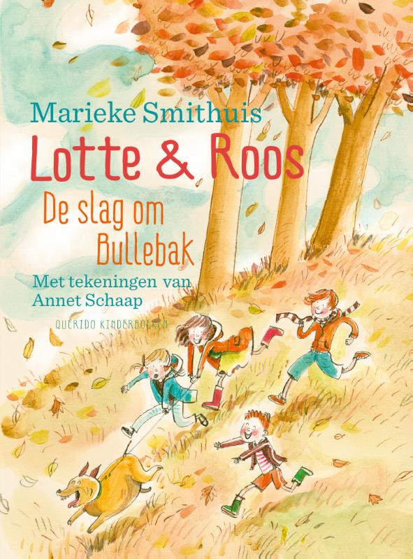 Omslag van De slag om Bullebak