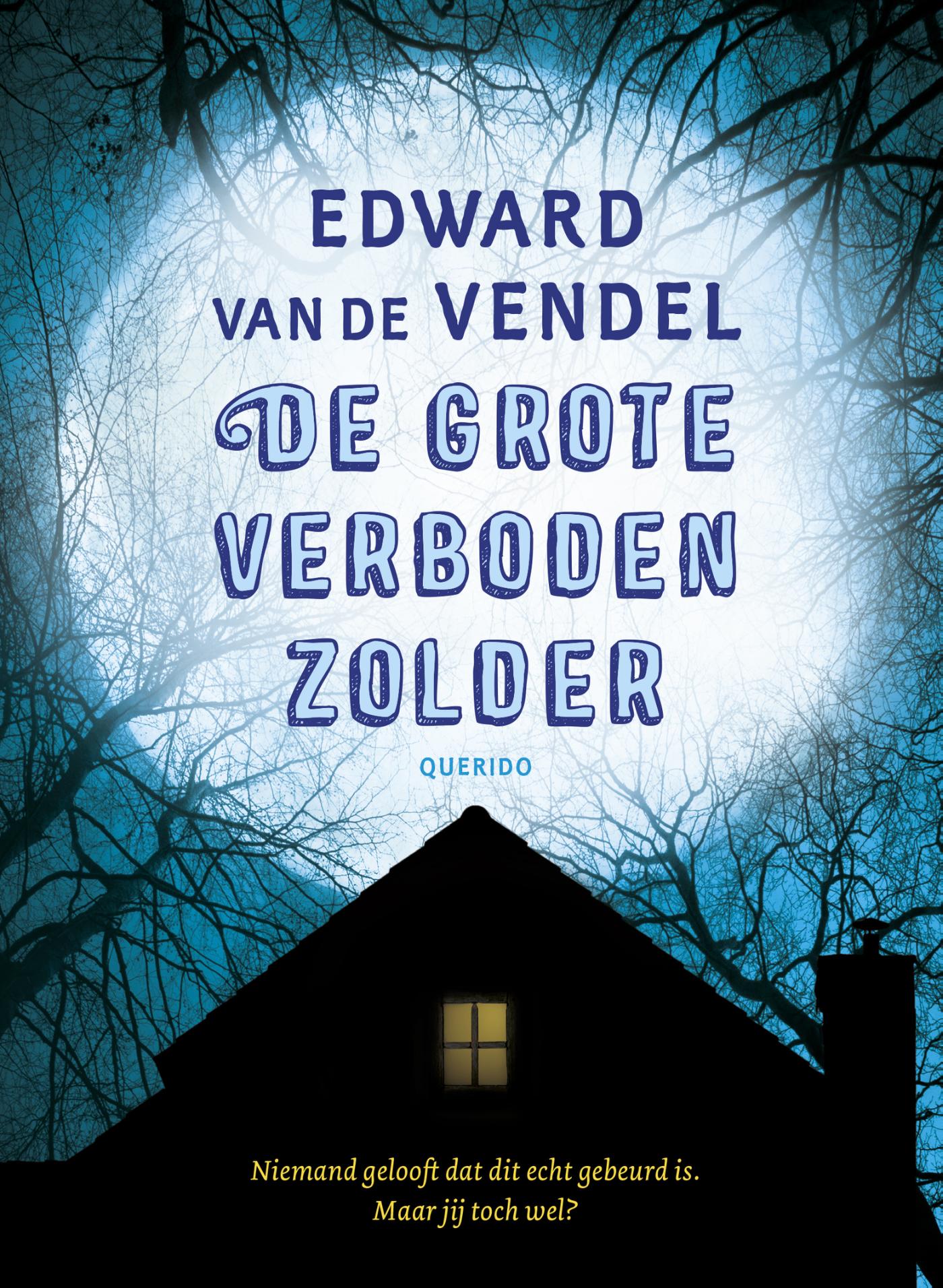 Omslag van De grote verboden zolder