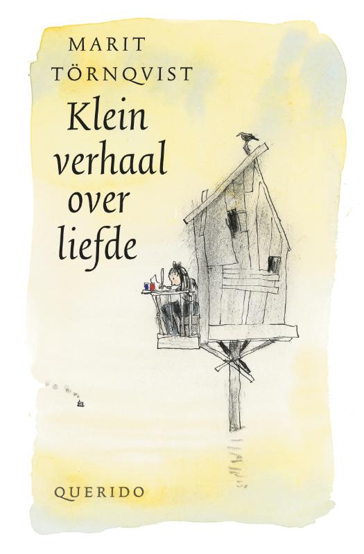 Omslag van Klein verhaal over liefde