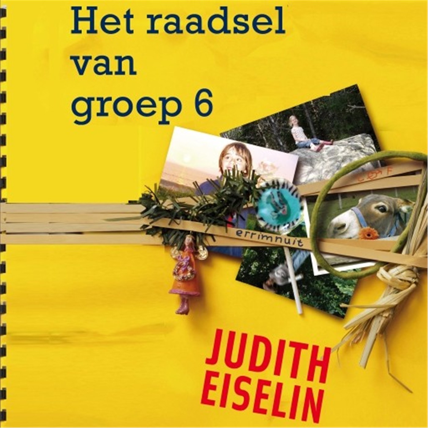 Omslag van Het raadsel van groep 6