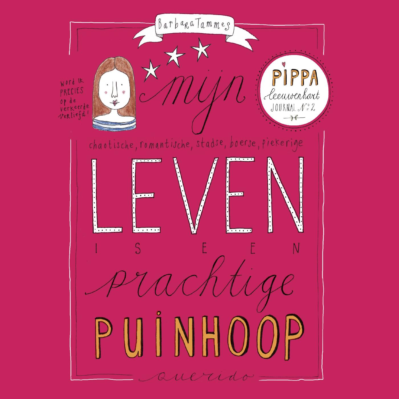 Omslag van Mijn leven is een prachtige puinhoop