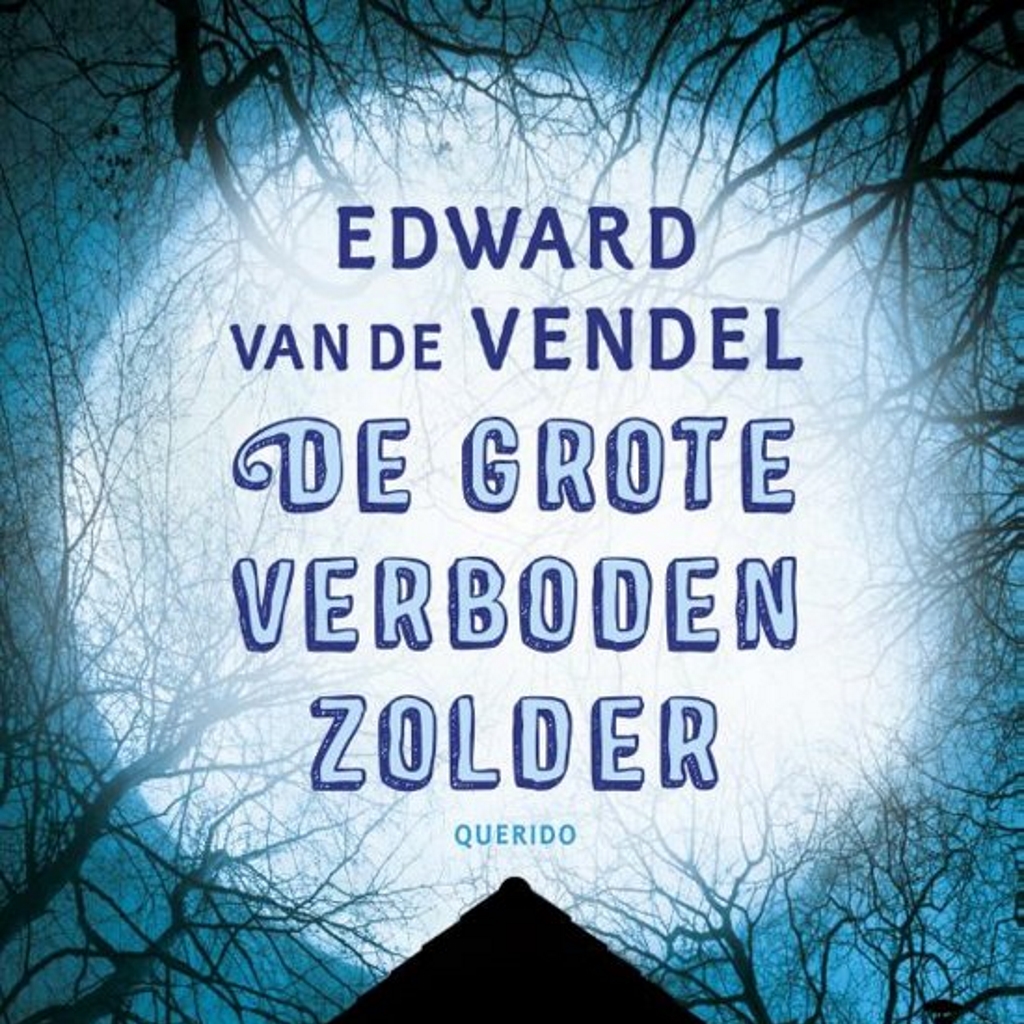 Omslag van De grote verboden zolder