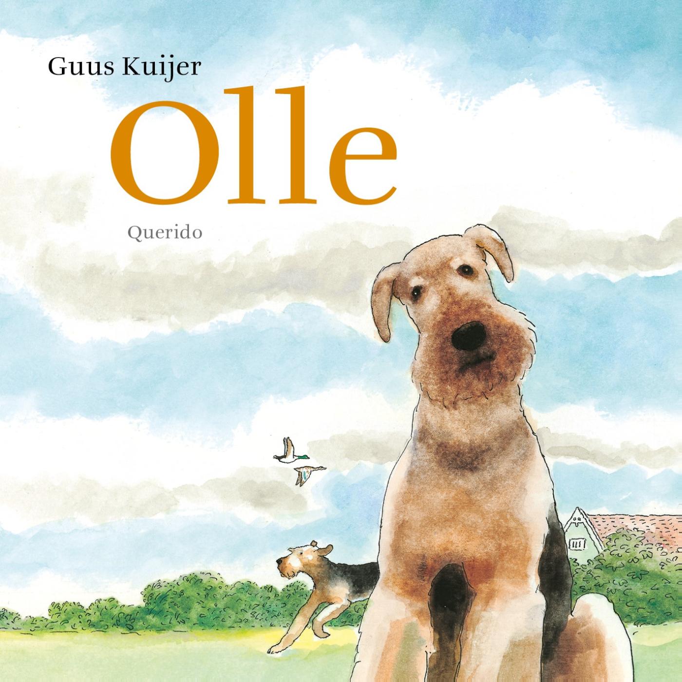 Omslag van Olle