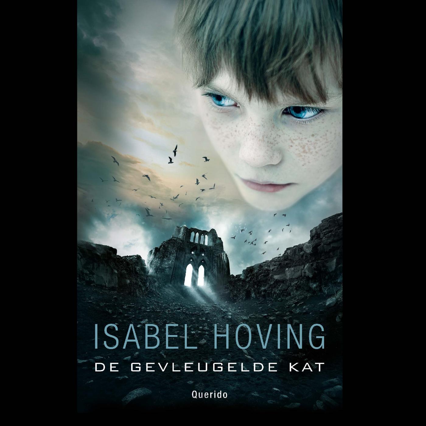 Omslag van De gevleugelde kat
