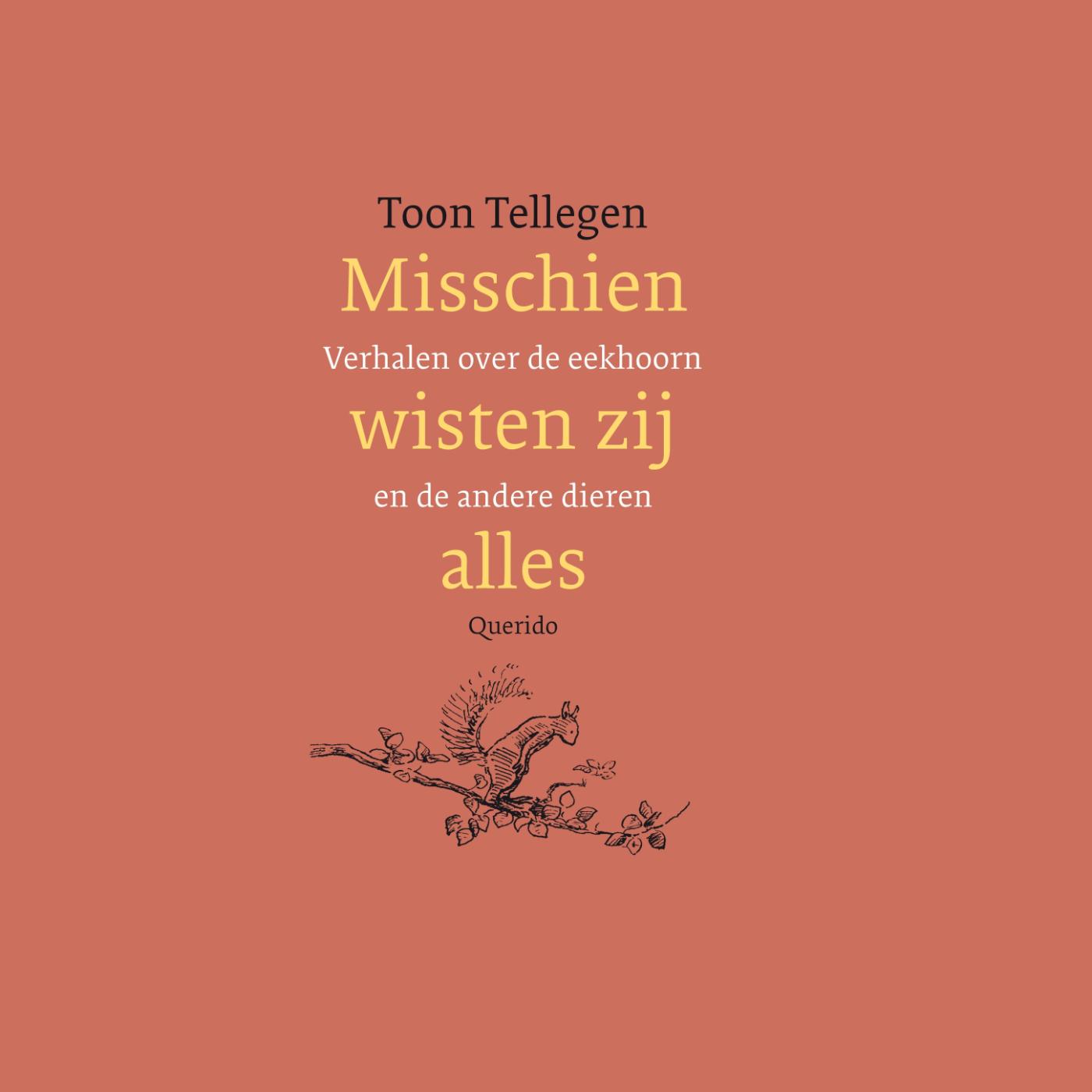 Omslag van Misschien wisten zij alles
