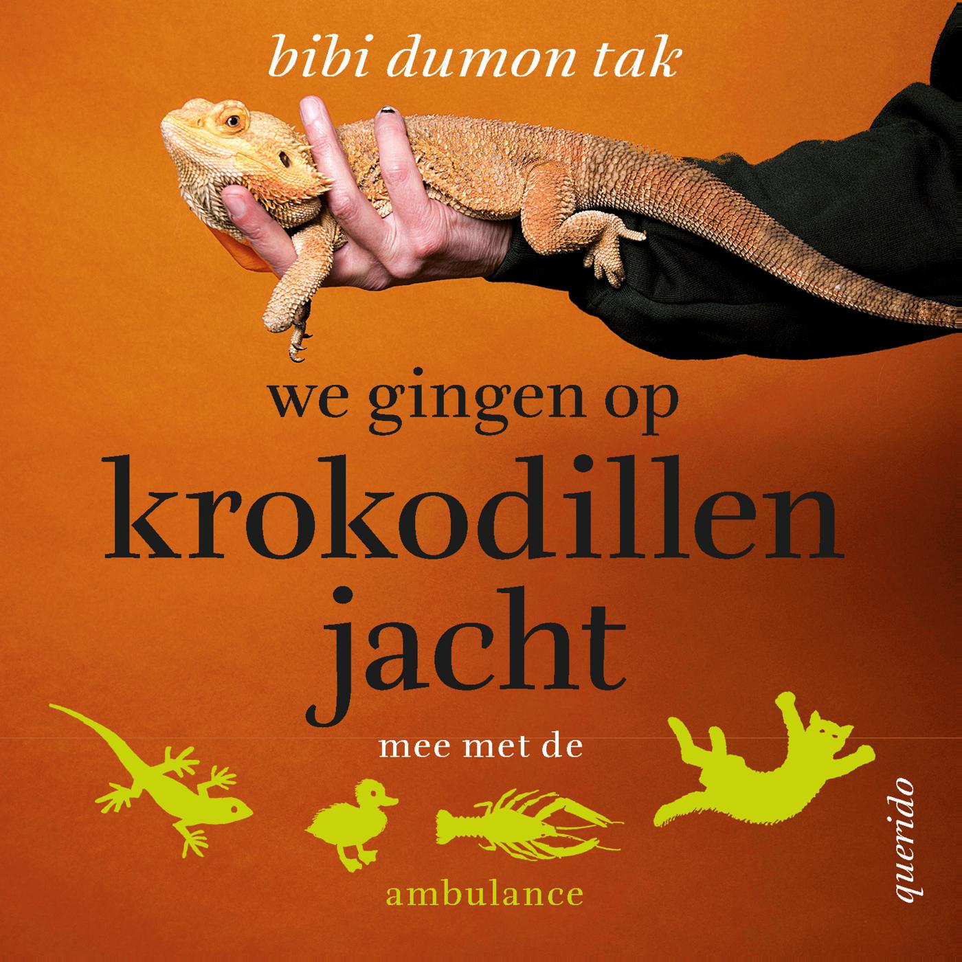 Omslag van We gingen op krokodillenjacht