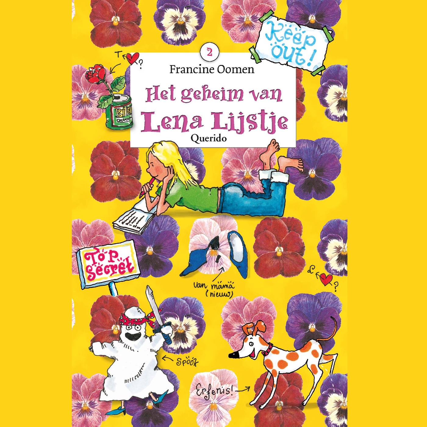 Omslag van Het geheim van Lena Lijstje