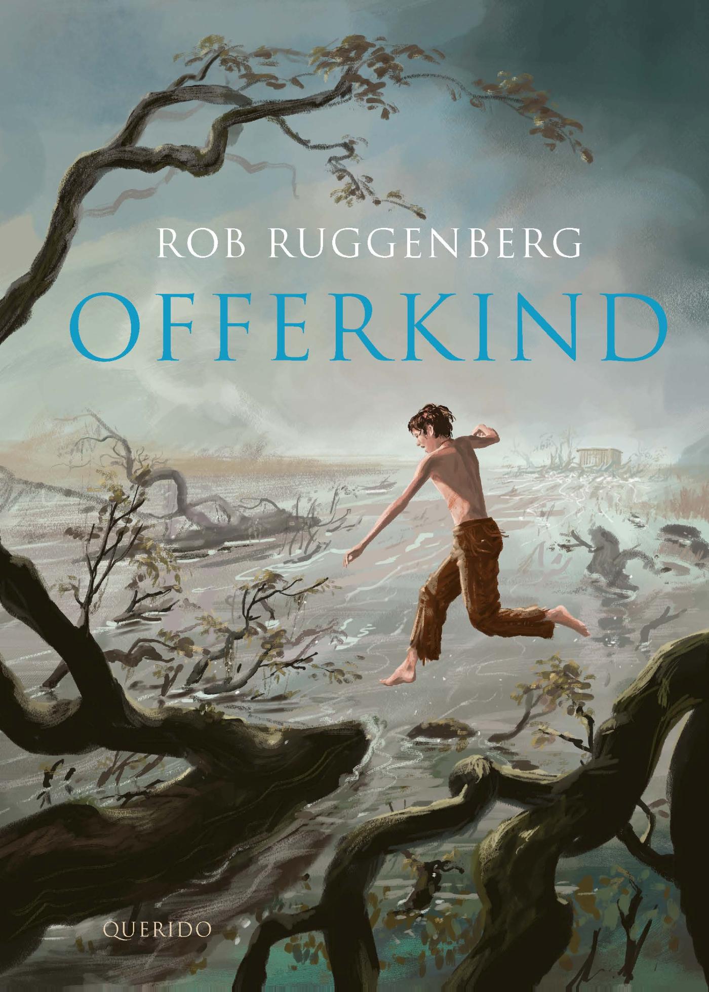 Omslag van Offerkind