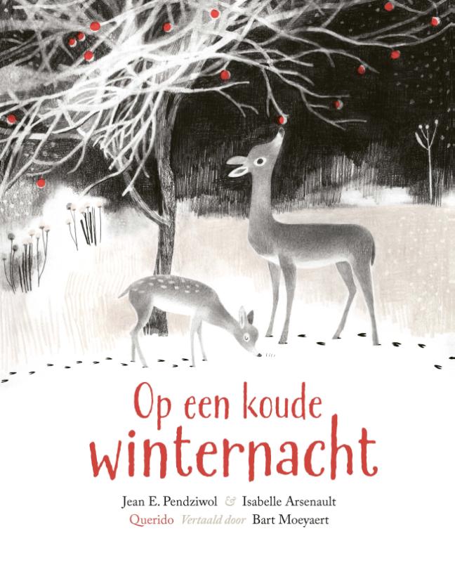 Omslag van Op een koude winternacht
