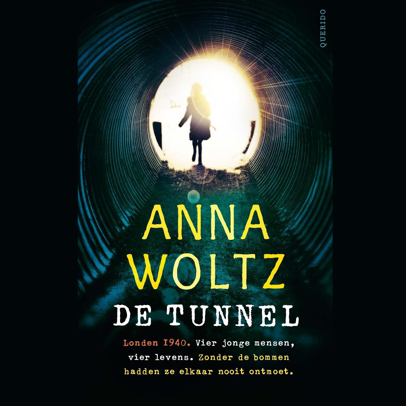 Omslag van De tunnel