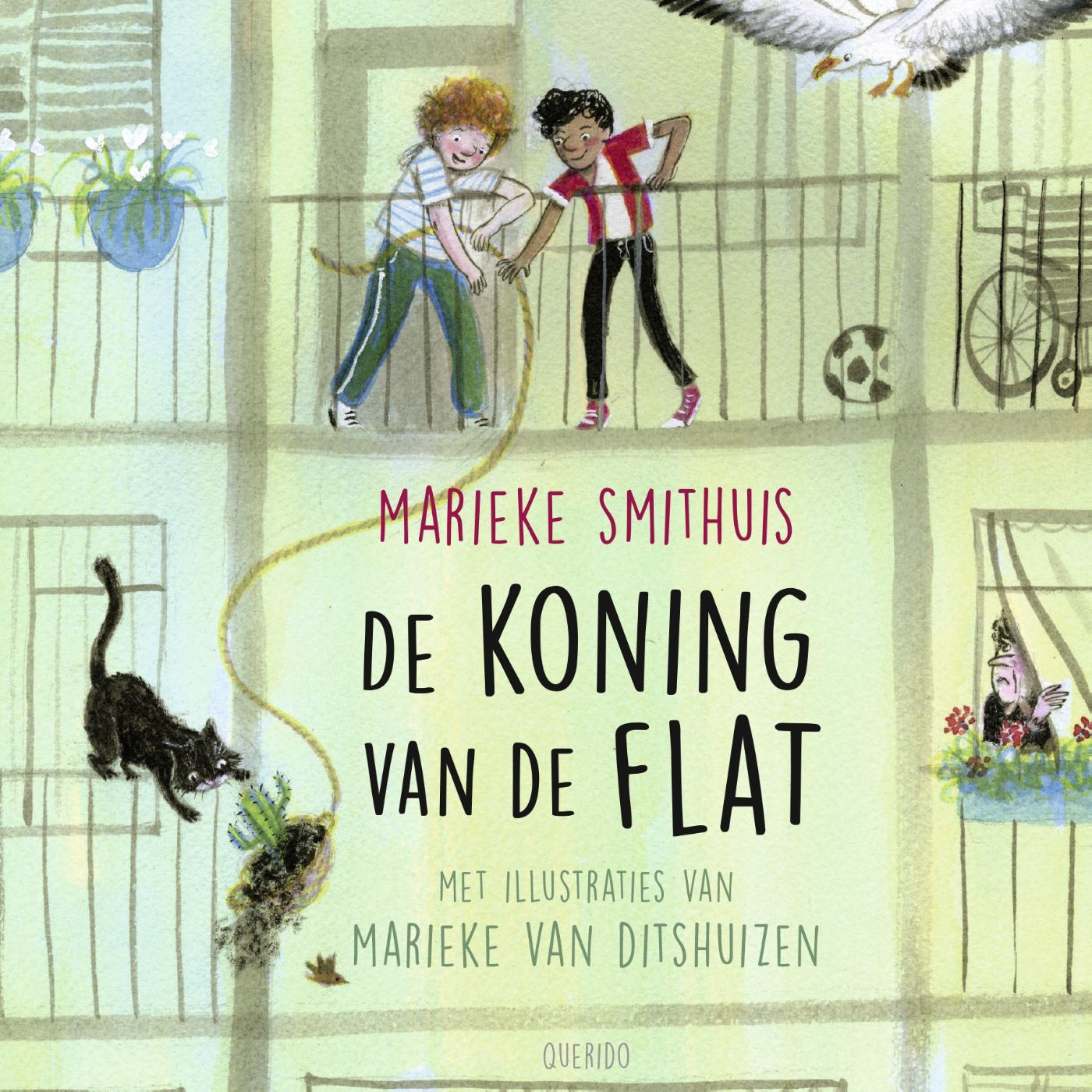 Omslag van De koning van de flat