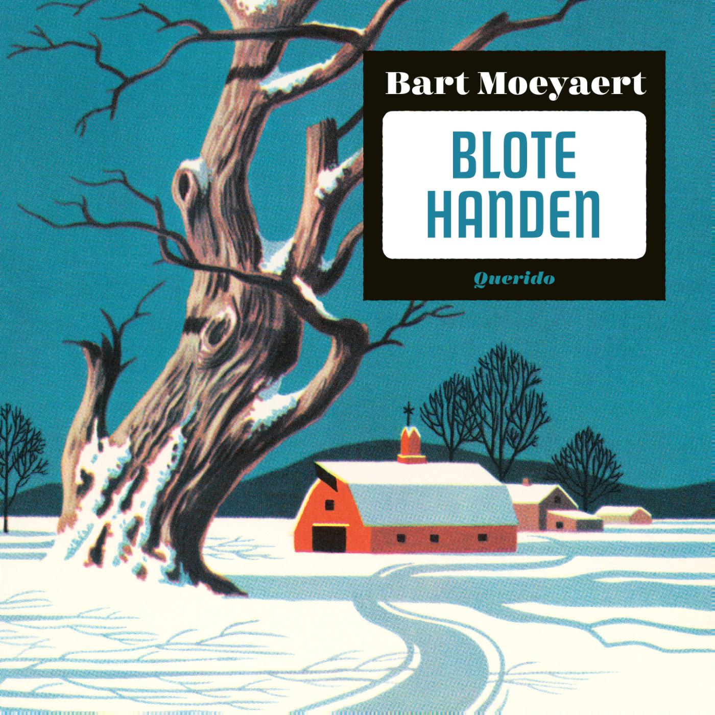 Omslag van Blote handen