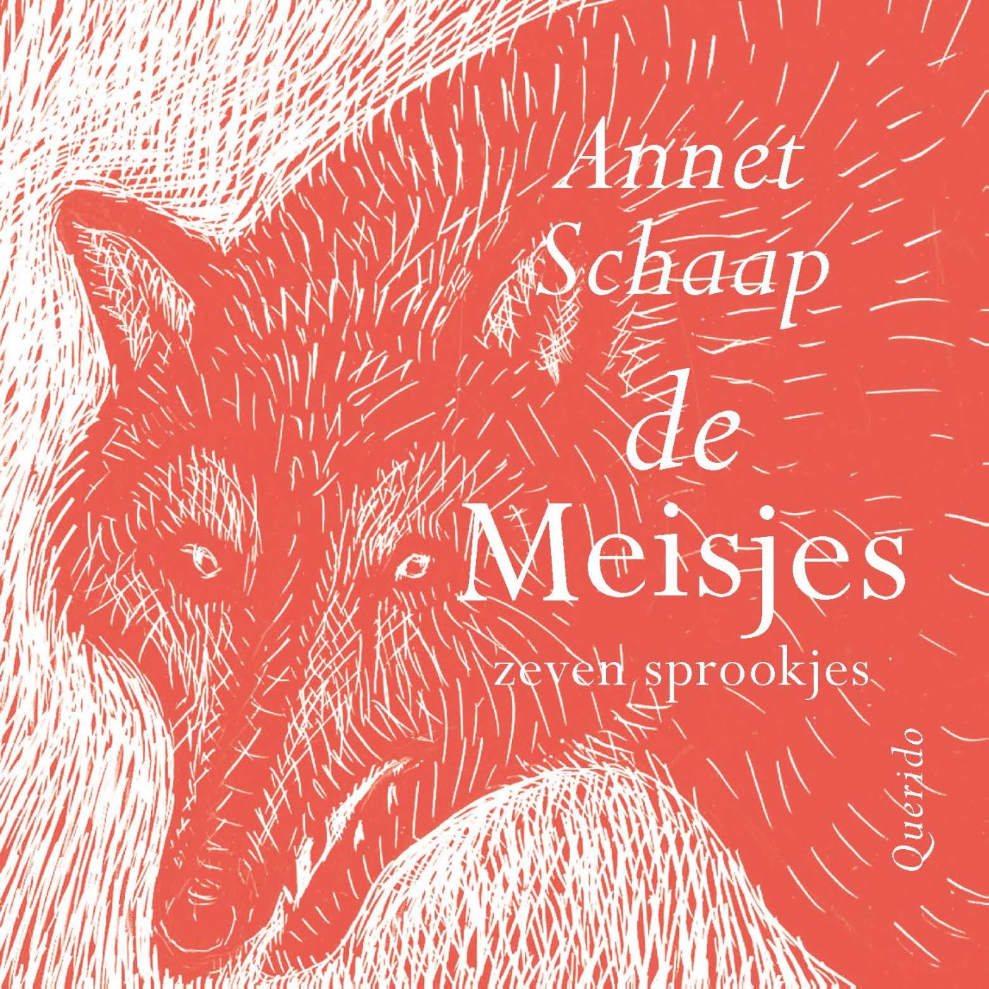 Omslag van De meisjes